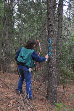 Habitat Retention Area