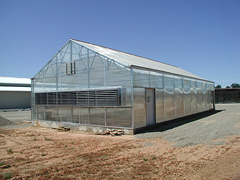 Greenhouse