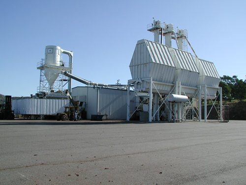 Keystone Bark Plant